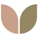 Great Wine Capitals, Chapter V: Mainz - Rheinhessen, Germany