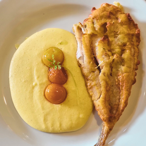 Pesca de Nuestro Litoral