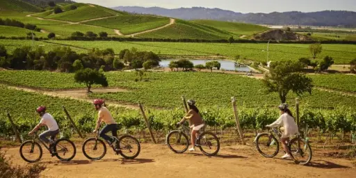 Bike Tour Guiado en Casas del Bosque